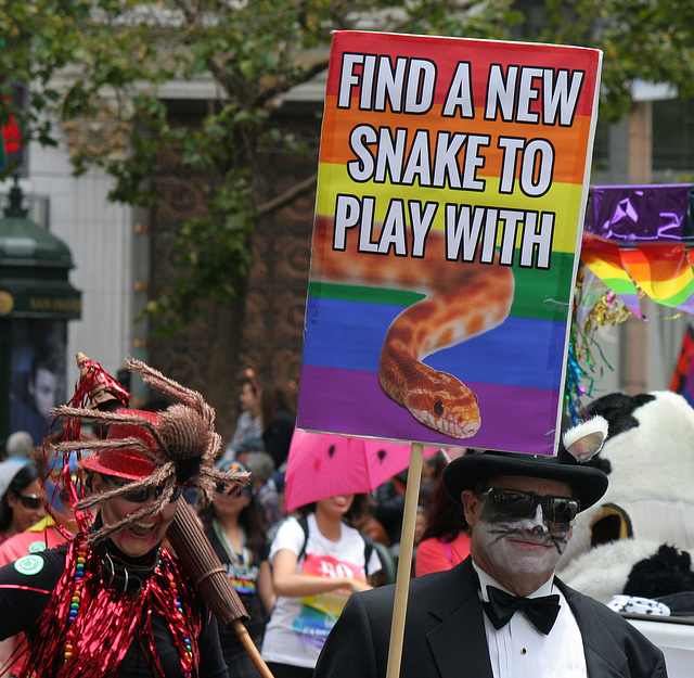 San Francisco Pride Parade 2015 (6283)