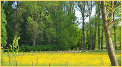 Butter valley----Please enlarge---