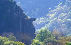 DE - Marienthal - View towards Bunte Kuh rock