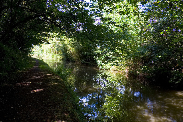 Light and shade on the canal