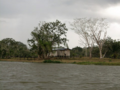 Maison de bois sur pilotis (Nicaragua)