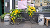 Mitchell's Flower Bike