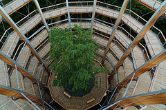 Baumwipfelpfad im Steigerwald, Blick 40 m in die Tiefe - Canopy walkway, view  40 meters straight down.