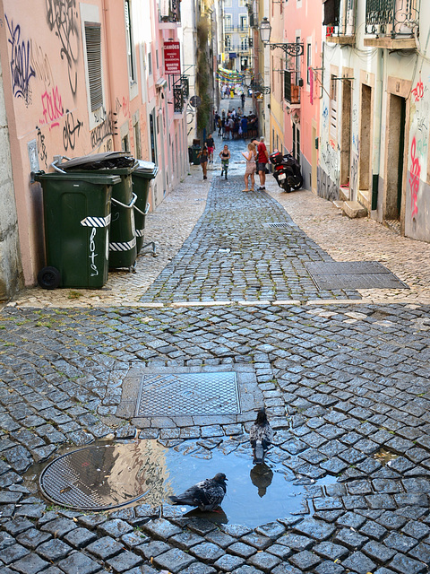Lisbon 2018 – Street in Bairro Alto