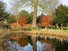 West Dean Gardens Pond (+PiP)