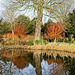 West Dean Gardens Pond (+PiP)