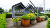 V &A Dundee Community Garden
