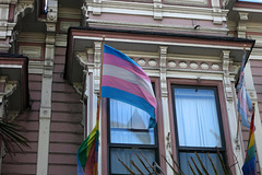 Trans Pride Flag (1321)