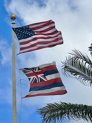 Flags in Honolulu