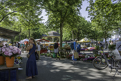 Markt am Bürkliplatz ... P.i.P. (© Buelipix)