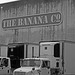 The Banana Co (6432)