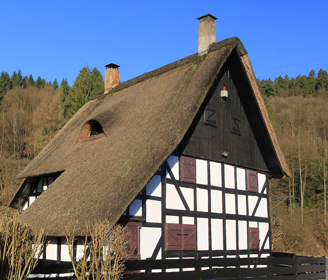 Steinches Mühle