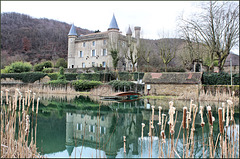 Villemoirieu (38) 24 février 2015. Château de Bienassis.