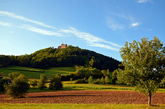 Burg Hohengeroldseck