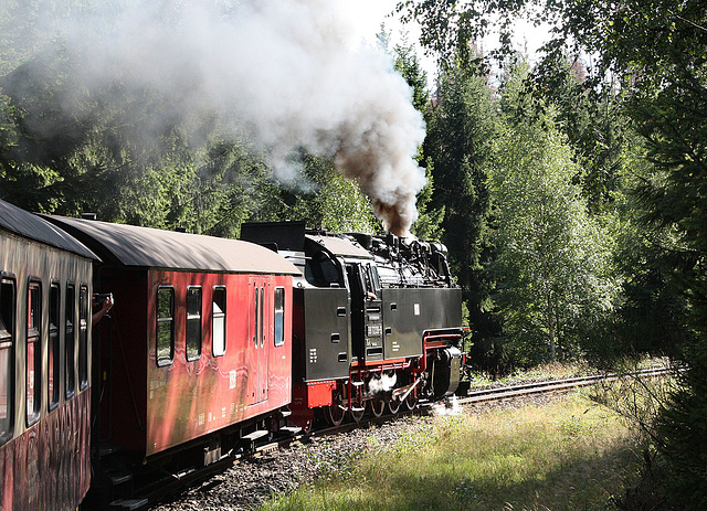 Harz steam