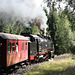 Harz steam