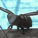20210221 9941CPw [D~LIP] Skulptur -Insekt-, UWZ, Bad Salzuflen