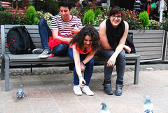 Three people sitting on a bench feeding pigeons!