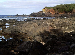 Volcanic coast of Pesqueira.