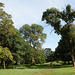 Uganda, Landscape in Entebbe Botanical Garden