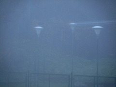 Nebbia - Fog