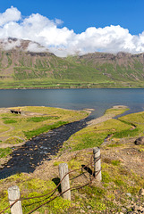 Hánefsstaðir fence