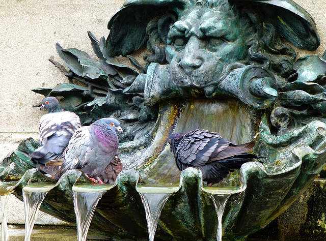 Kühler Brunnen - Cool fountain - PiP