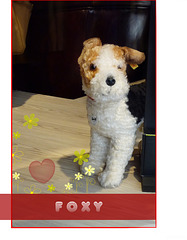 Foxy ... seen in a store window(((•‿•)))