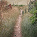 At the end of the path - left for the Downs - right for the sea - Seaford 13 7 2023