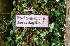 Tread Carefully Fairies Play Here