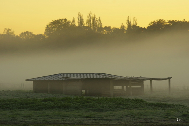 Versailles, le matin sous la brume