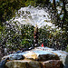 IMG 8339-001-Fountain Swirl