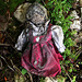 La souffrance d'une poupée abandonnée dans une cour de ferme .