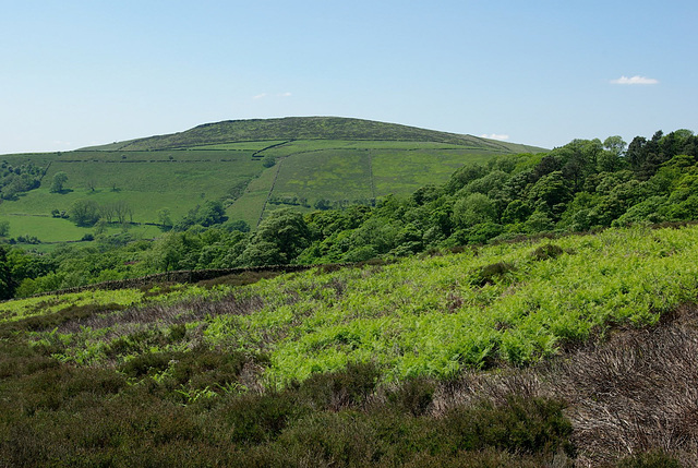 Lantern Pike from Middle Moor