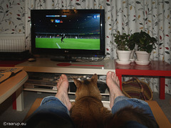 Rags watching football (2011)