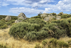 Rochers sur le plateau du Tanargue.