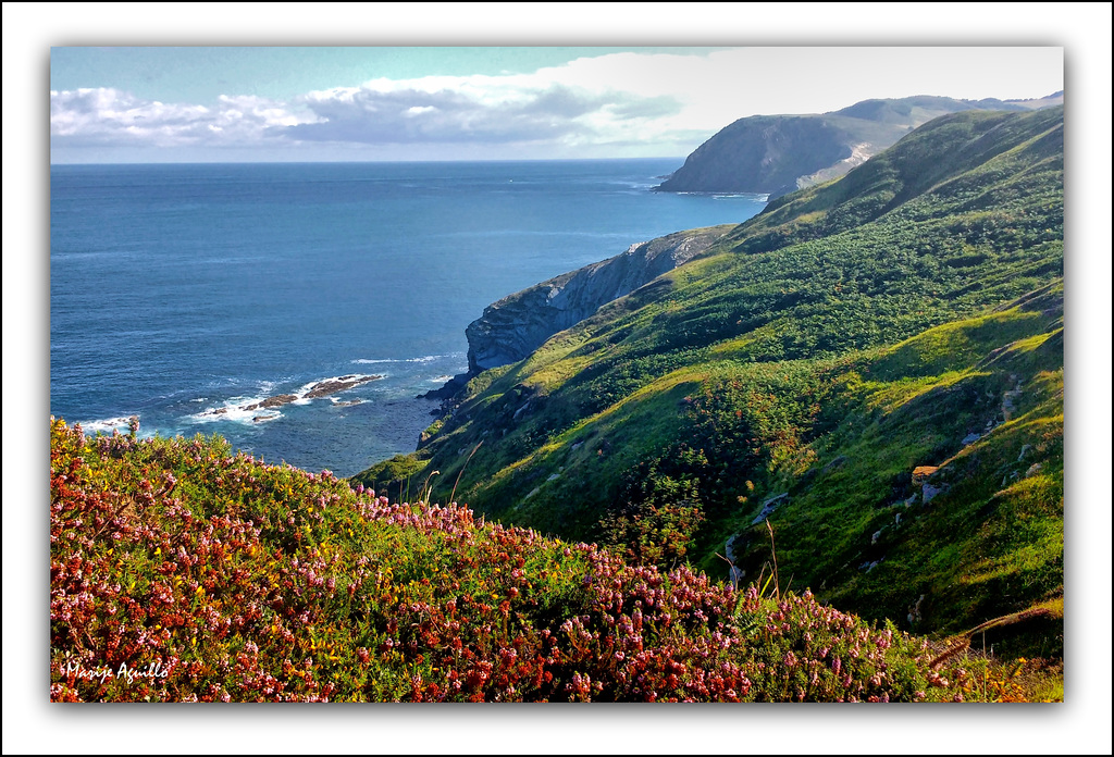 Flysch y brezos