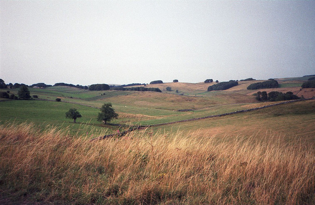 Fields above Milldale (Scan from August 1989)