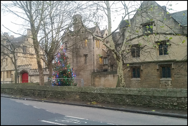 St John's College Christmas tree