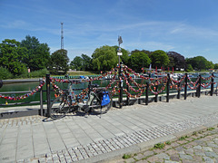 Der Zaun in Rostock