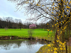 Frühling am Golfplatz