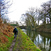 Looking towards Hademore House Bridge on the Coventry Canal