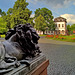 Wachender Löwe - Hanau - Schloss Philippsruhe