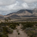 Mojave National Preserve (#1022)