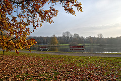 Herbst am Ümminger See