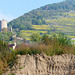 Burgruine und Stadtmauer am Weinberg