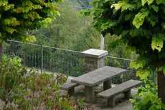 benches with a green view