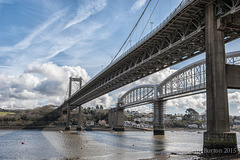 Bridges over the River Tamar