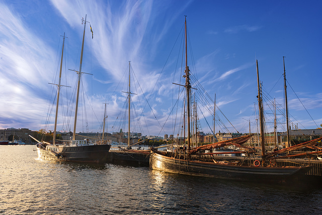 Museumshafen am Djurgården (1)