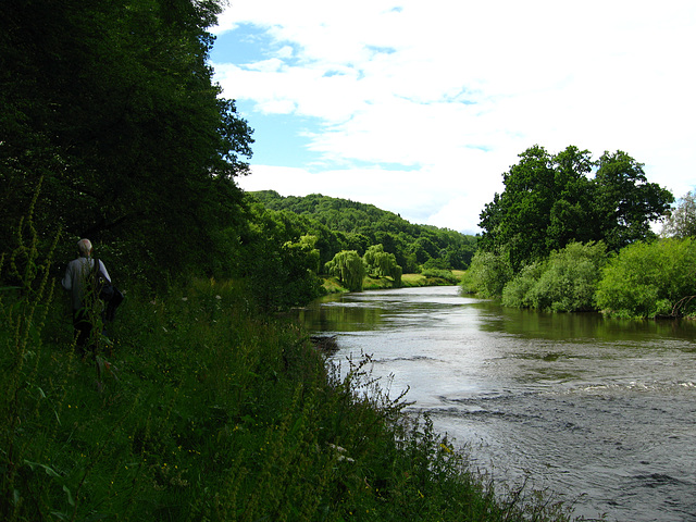 Looking upstream along the River Severn at Chestnut Coppice